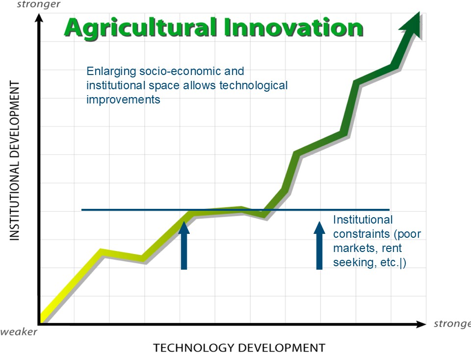 ipm social october 2025