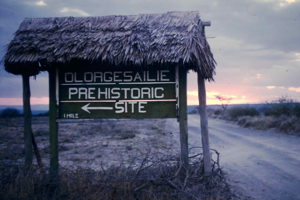 Kenya: safaris and termite research pict0001 nero ai image upscaler photo face compressed