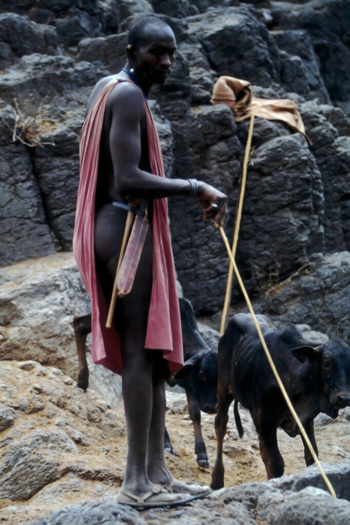 Kenya: safaris and termite research pict0037 nero ai image upscaler photo face compressed