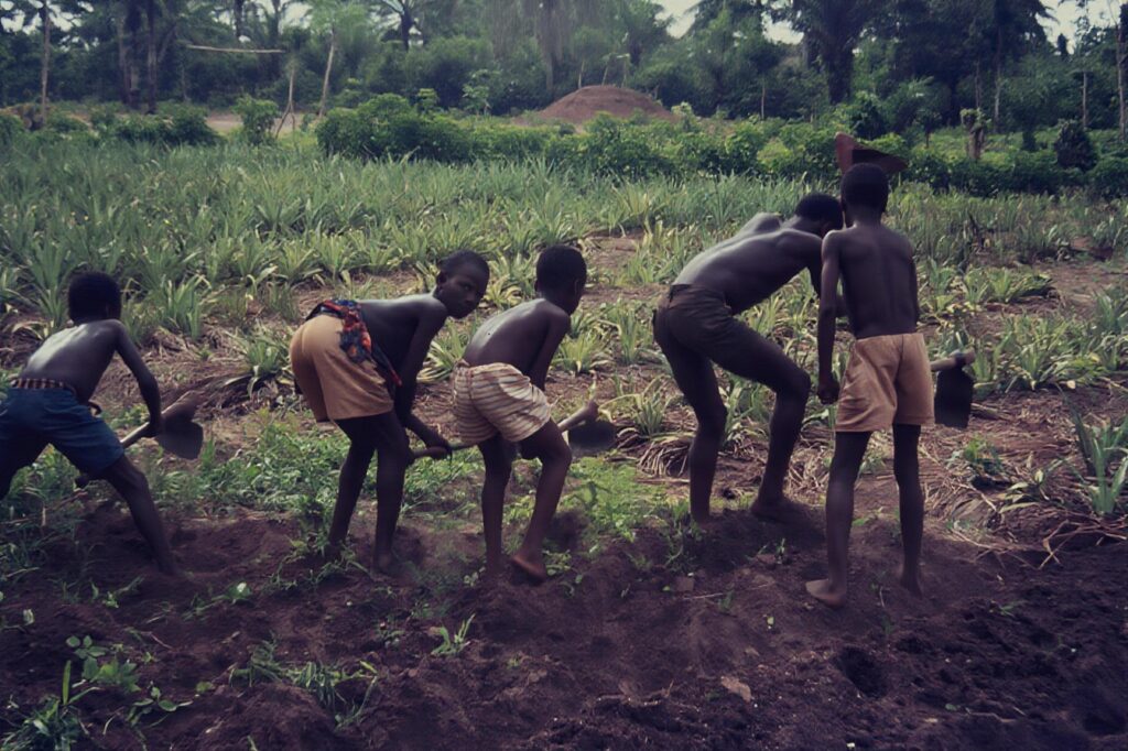 Chapter 2. Hitch hiking 6000 km across Africa pict0042 nero ai photo restoration descratch colorize fb