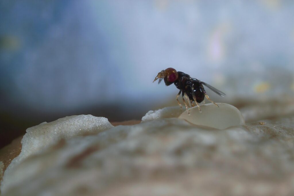 pict0134 nero ai photo restoration descratch colorize fb