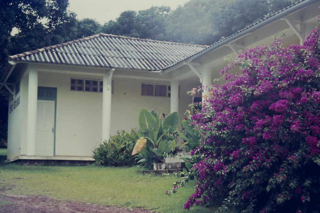 First Encounter with the Tropics: Côte d’Ivoire pict0223 nero ai image upscaler photo face compressed