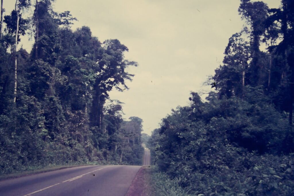 First Encounter with the Tropics: Côte d’Ivoire pict0230 nero ai image upscaler photo face