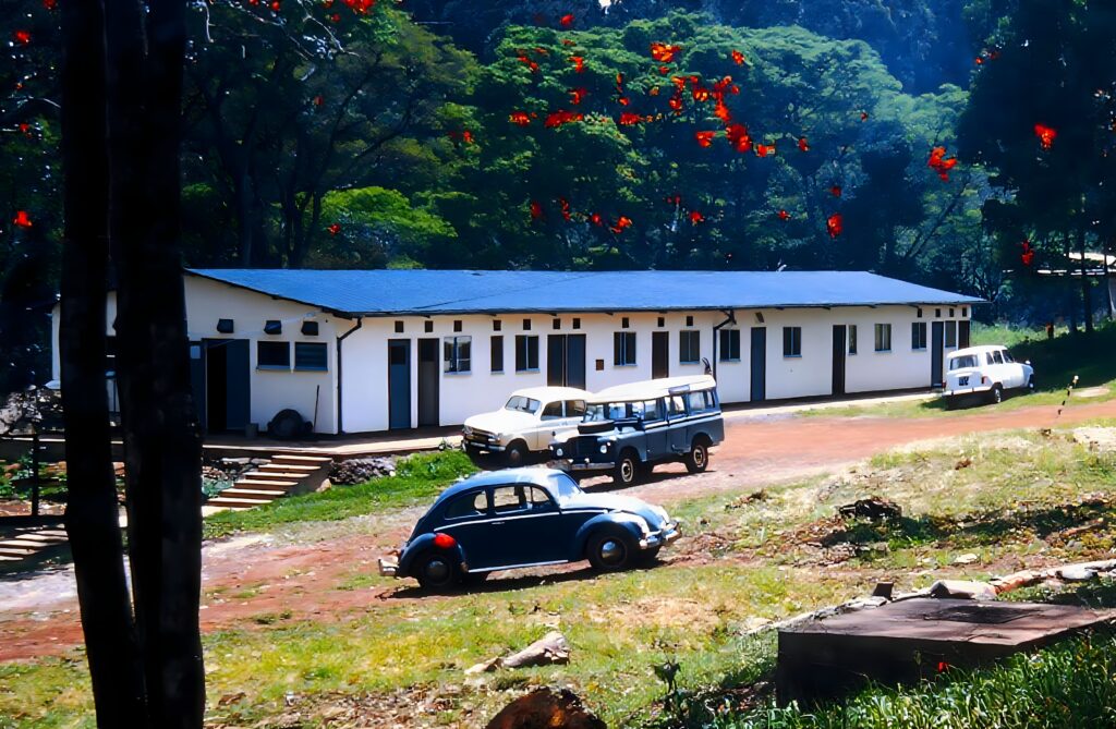 Kenya: safaris and termite research pict0234 nero ai photo restoration descratch colorize fb nero ai image upscaler photo face