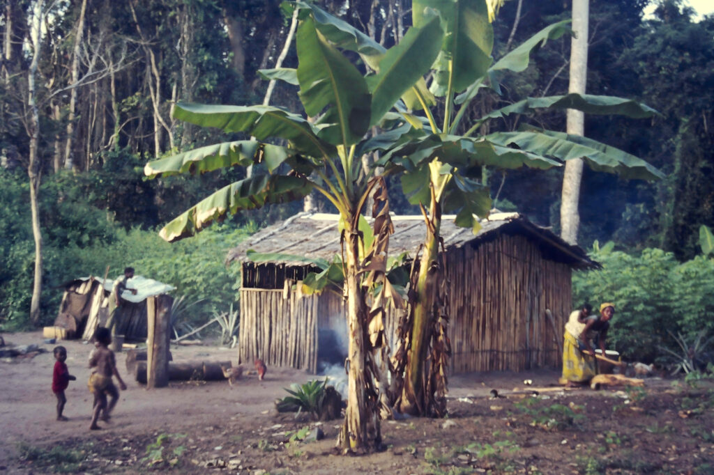 First Encounter with the Tropics: Côte d’Ivoire pict0260 nero ai image upscaler photo face compressed