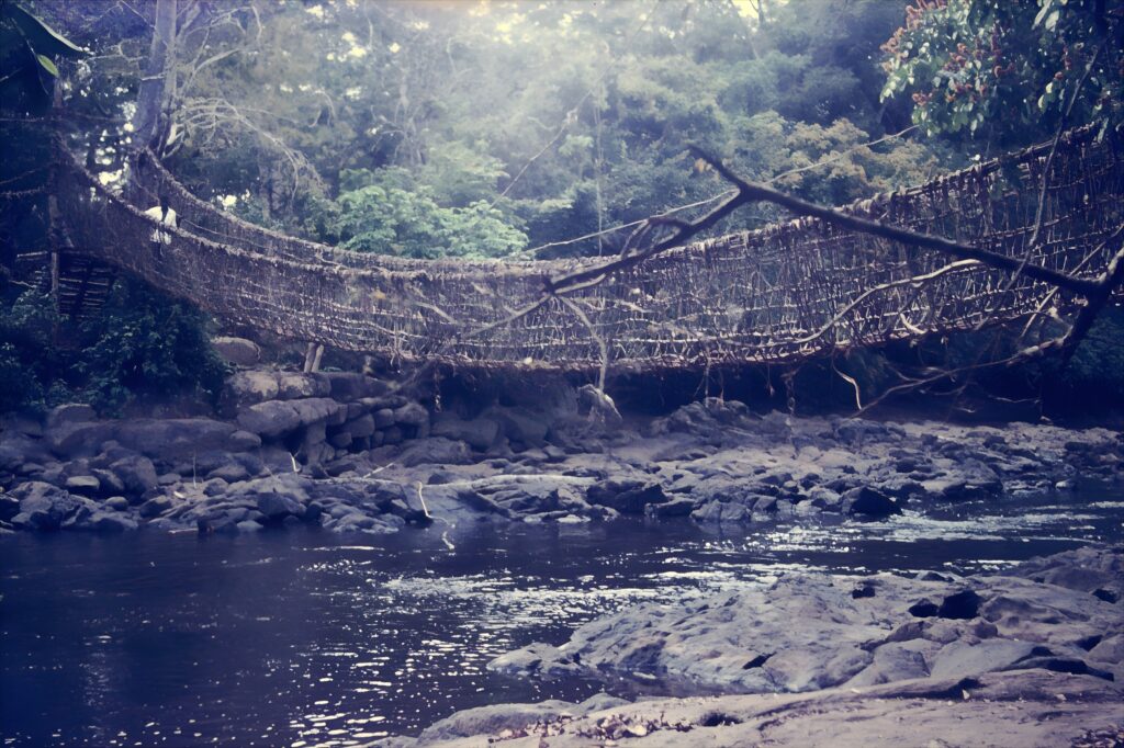 First Encounter with the Tropics: Côte d’Ivoire pict0327 nero ai image upscaler photo face
