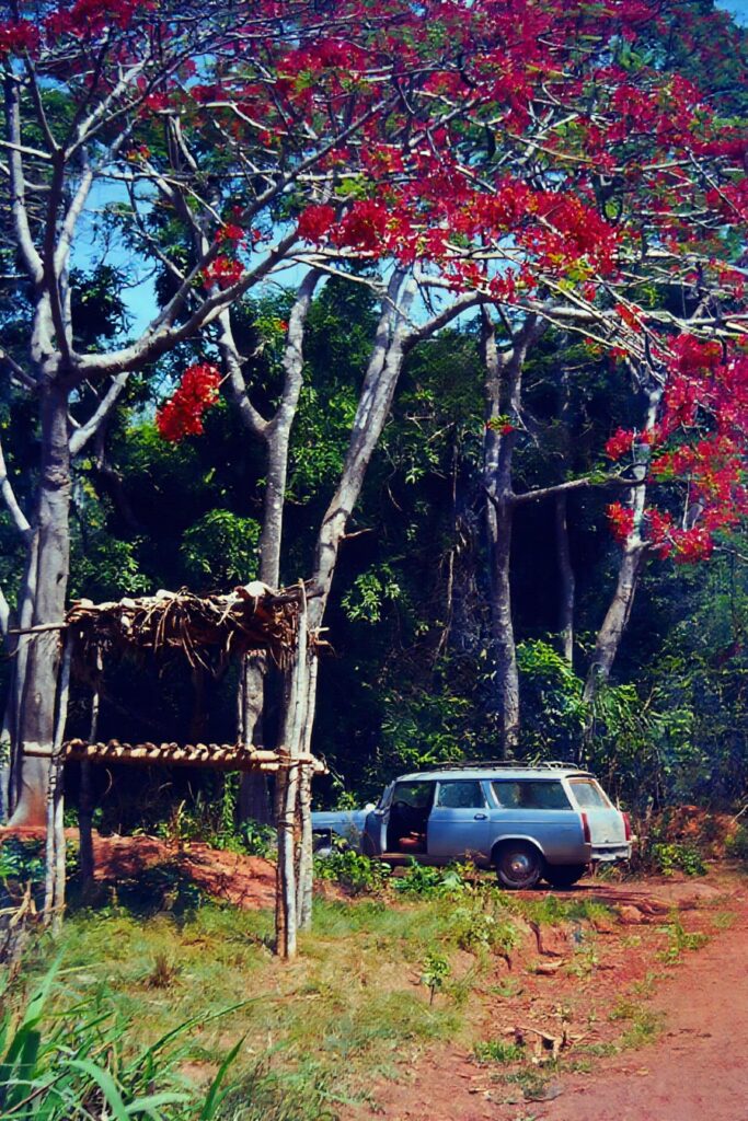 First Encounter with the Tropics: Côte d’Ivoire pict0342 nero ai photo restoration descratch colorize fb