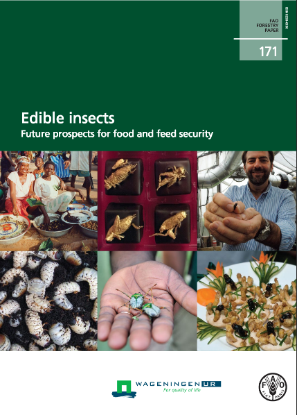 Edible insects screenshot www.fao.org 2018 03 08 15 50 53