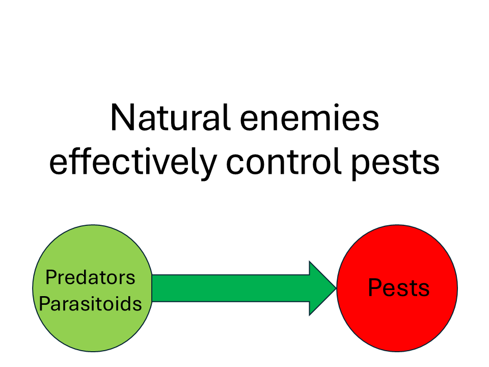 Sudan: how humans can destroy agriculture natural enemies effectively control pests
