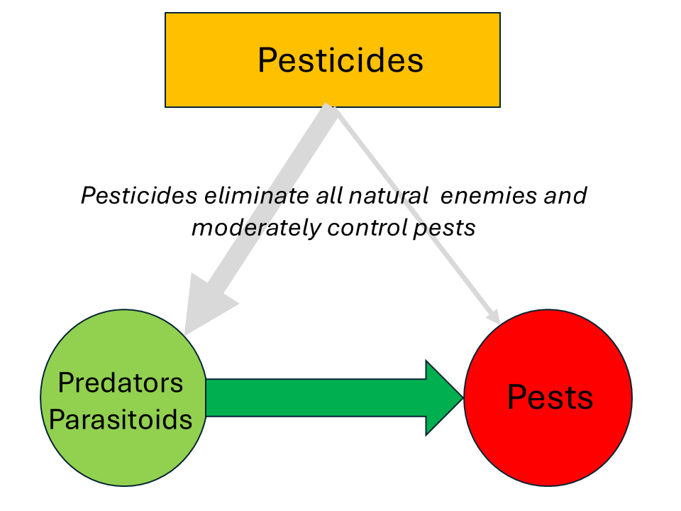 Sudan: how humans can destroy agriculture natural enemies effectively control pests1
