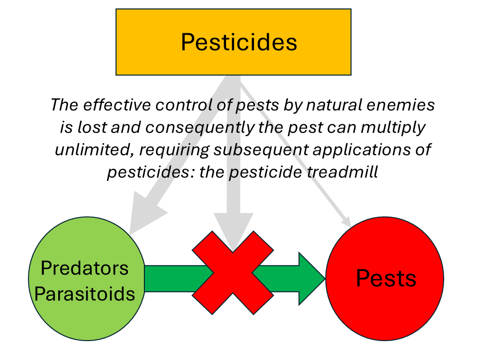 Sudan: how humans can destroy agriculture natural enemies effectively control pests2
