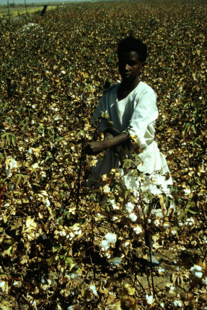 Sudan: how humans can destroy agriculture exif hdl id 1